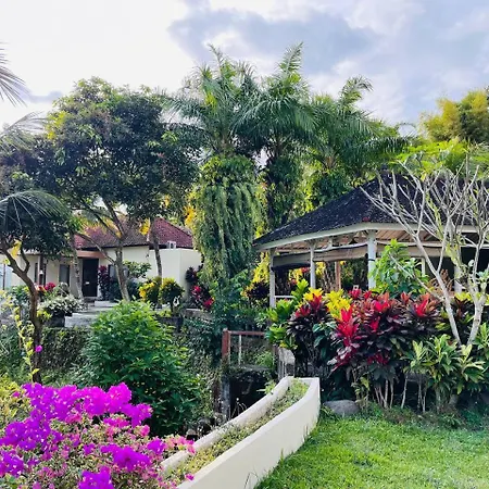 Soma Bloom Resort